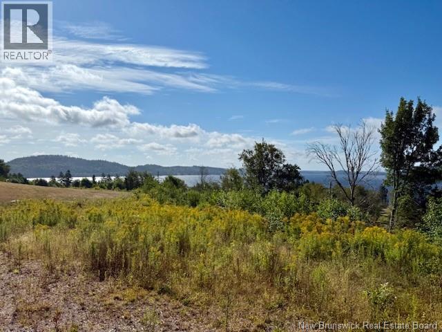 1191 137 Route 785 Property Photo 2