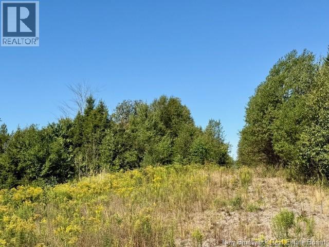 1191 137 Route 785 Property Photo 3