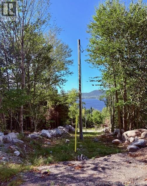 1191 137 Route 785 Property Photo 4