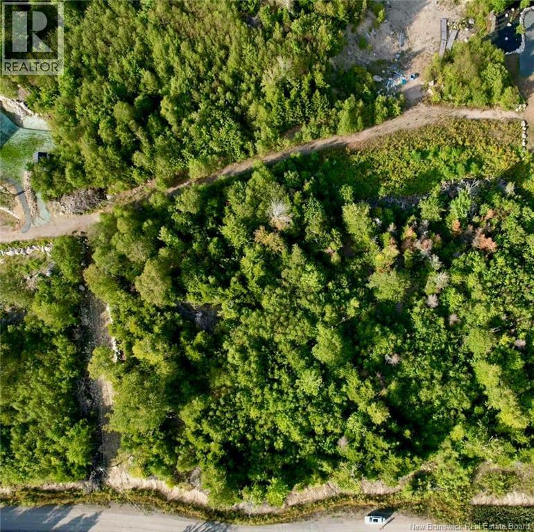 1191 137 Route 785 Property Photo 6