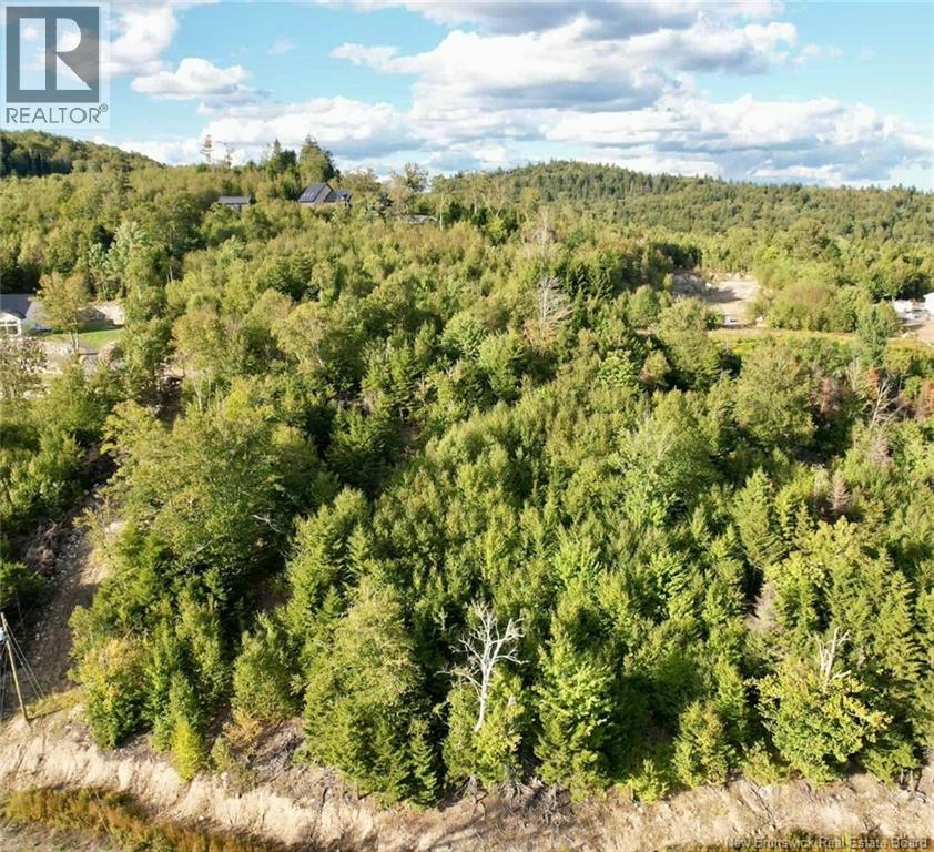 1191 137 Route 785 Property Photo 9