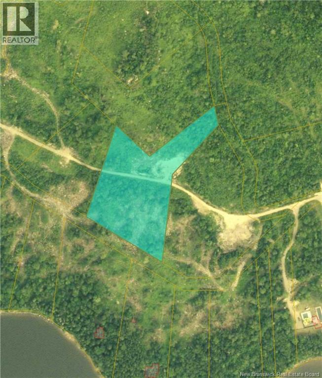 1191 137 Route 785 Property Photo 11