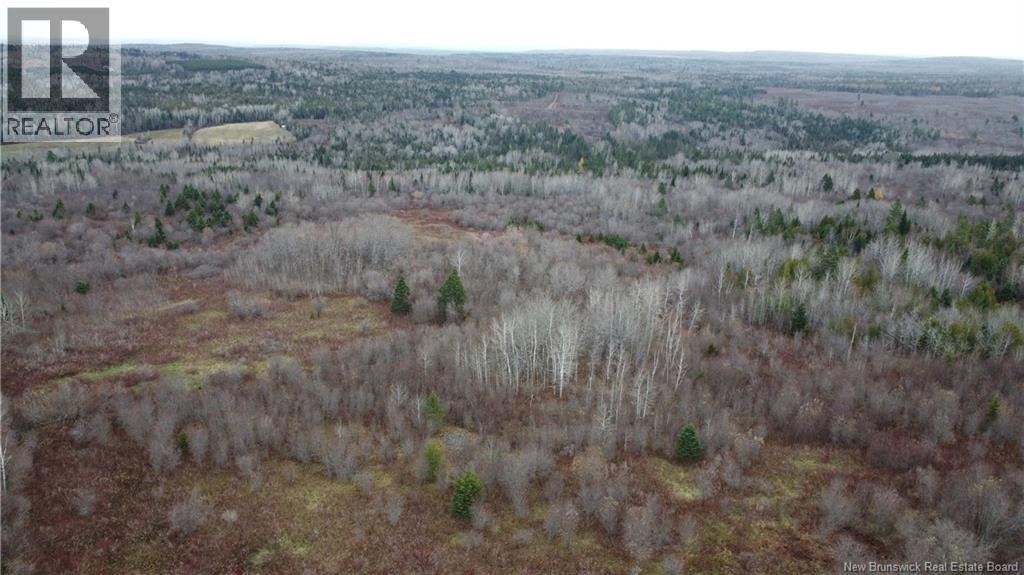 0 Route 615 Property Photo 16