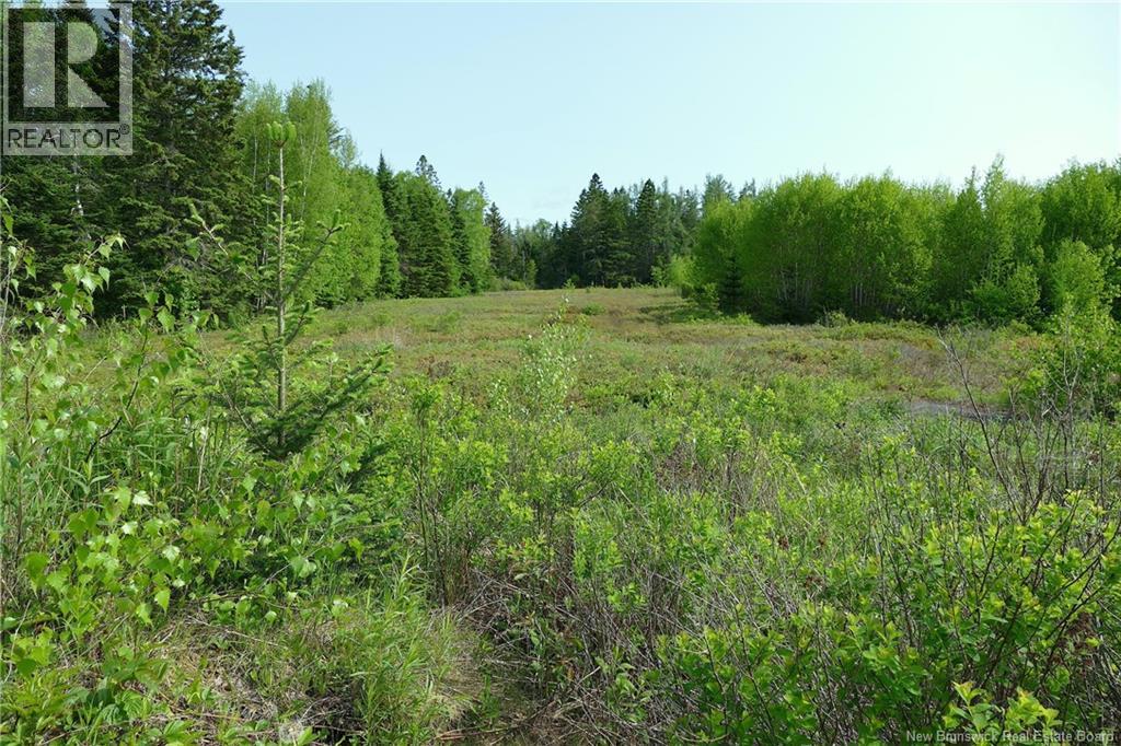 977 Route 770 Property Photo 5