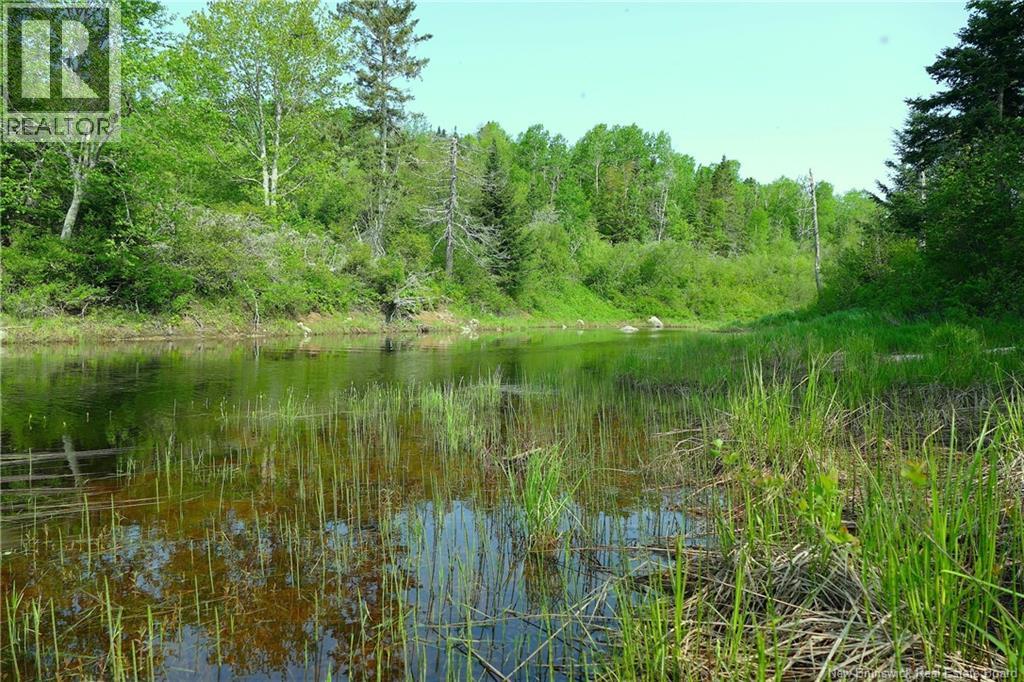 977 Route 770 Property Photo 9