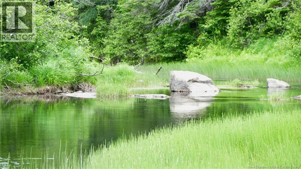 977 Route 770 Property Photo 10