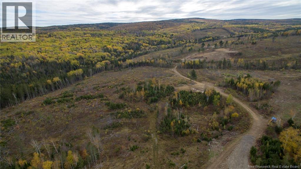 Lot 22-4 Drurys Cove Road Property Photo 4