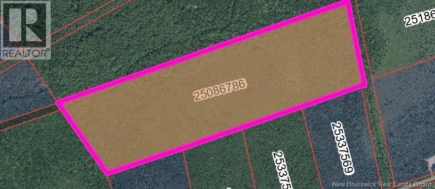 Vacant Lot Rte 465 Beersville Property Photo 2