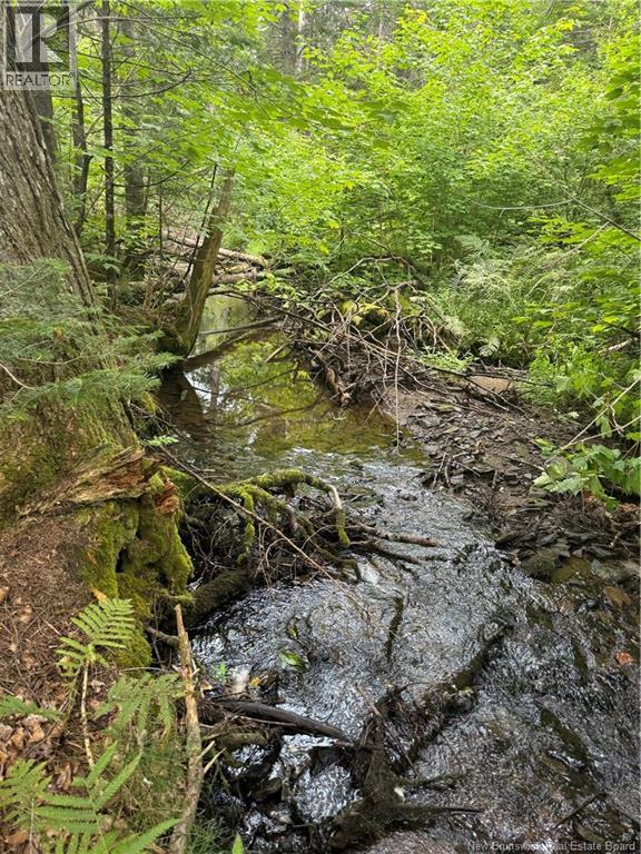 Lot Des Gallant Property Photo 5
