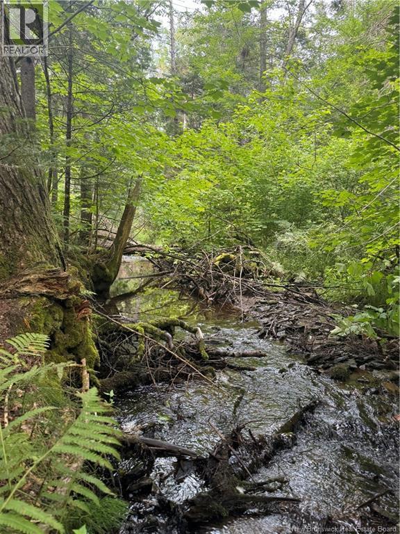 Lot Des Gallant Property Photo 6