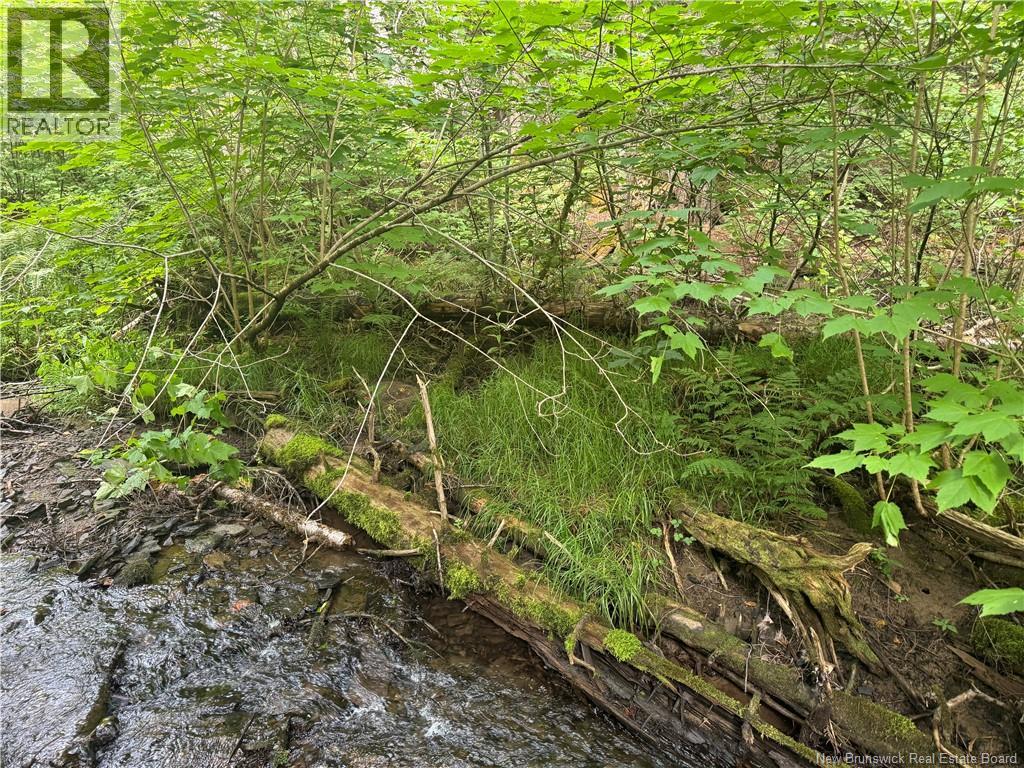 Lot Des Gallant Property Photo 7