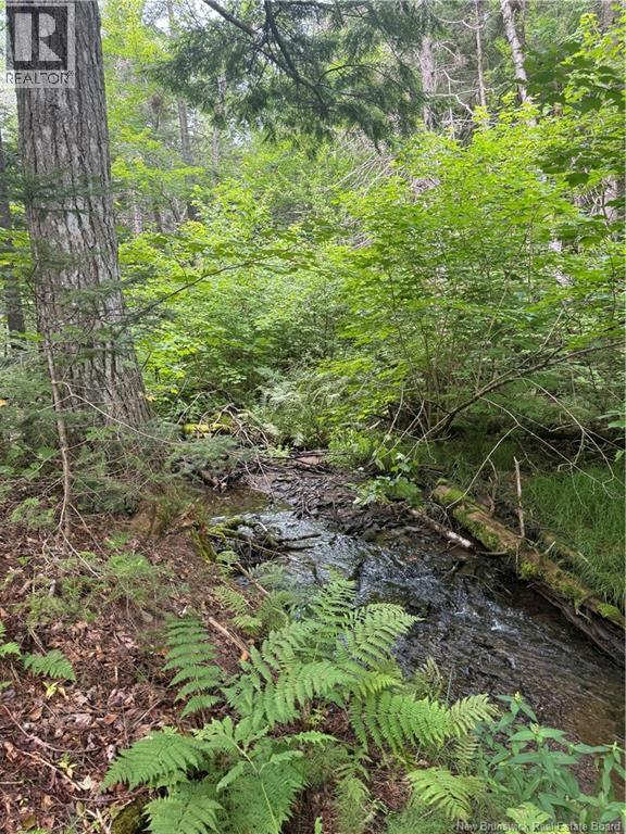 Lot Des Gallant Property Photo 8