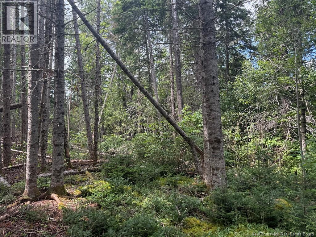 Lot Des Gallant Property Photo 10
