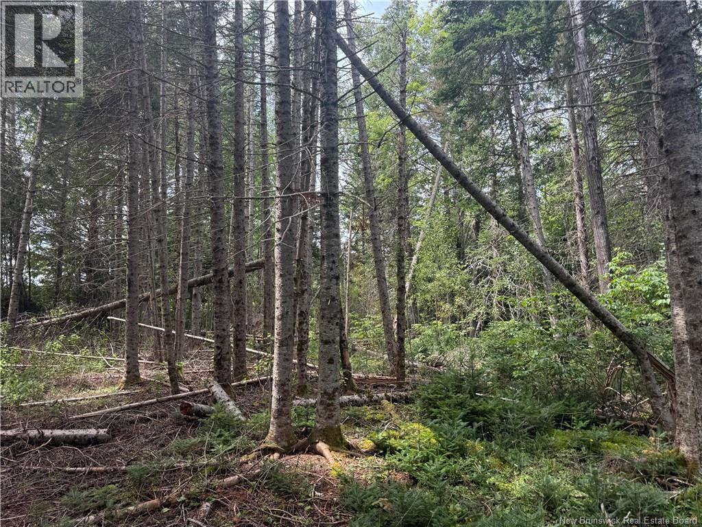Lot Des Gallant Property Photo 11