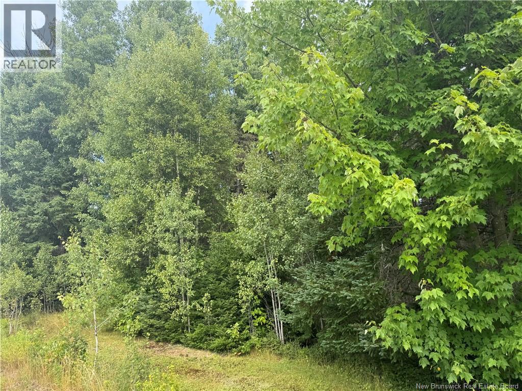 Lot Des Gallant Property Photo 12