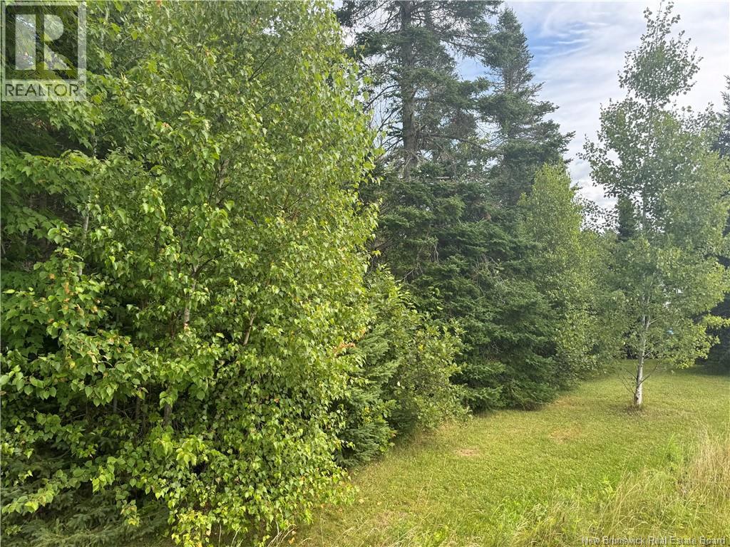 Lot Des Gallant Property Photo 13