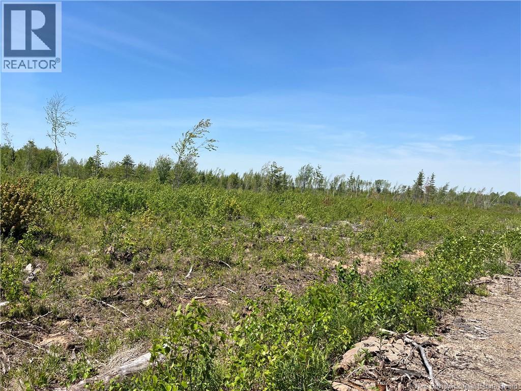 Lot Arthur Symes Lane Property Photo 2