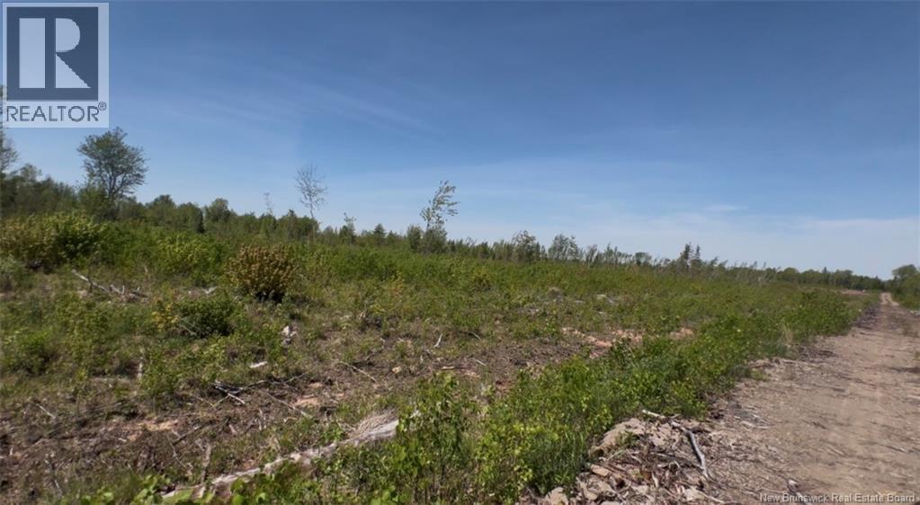Lot Arthur Symes Lane Property Photo 3