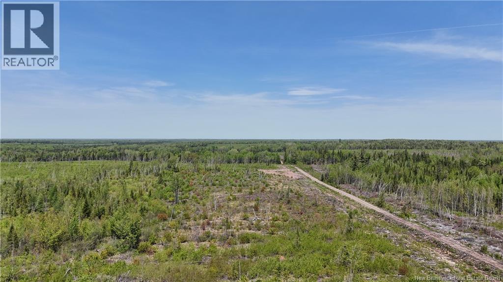 Lot Arthur Symes Lane Property Photo 6