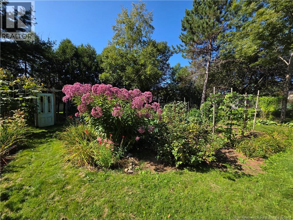 73 Parr Street Property Photo 9