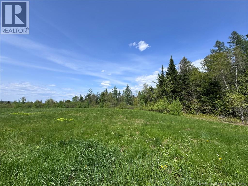 Lot Bridge Drive Property Photo 4