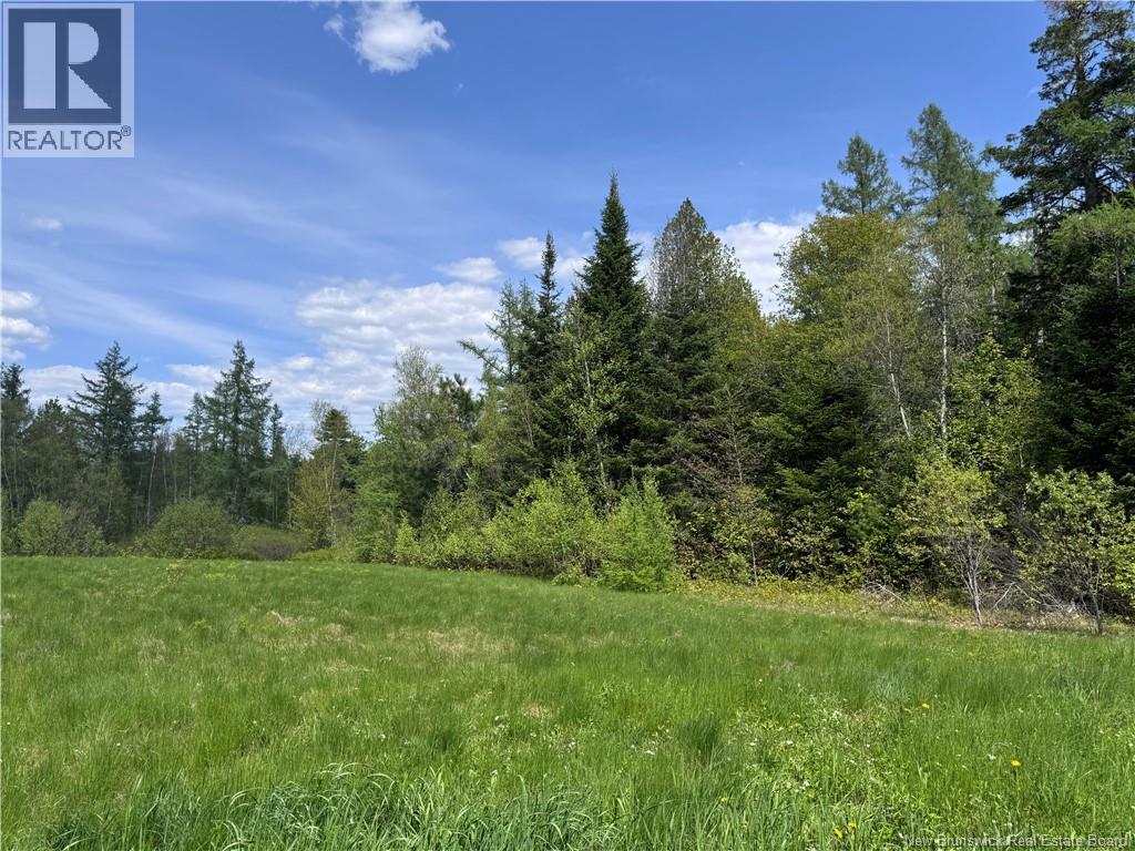 Lot Bridge Drive Property Photo 6