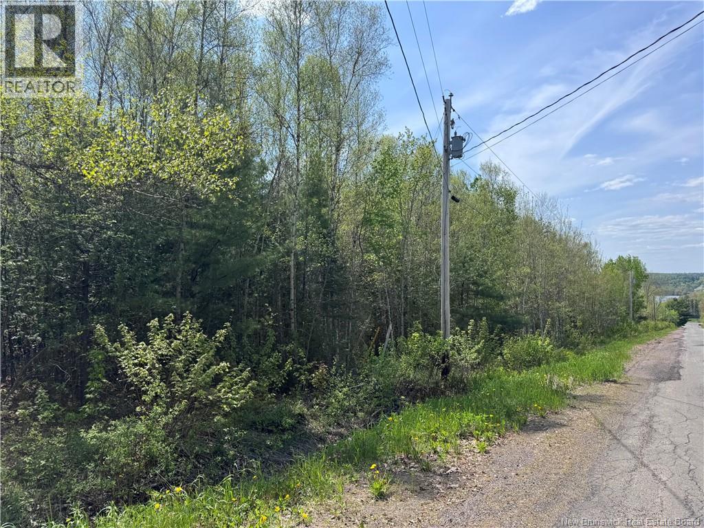 Lot Bridge Drive Property Photo 10