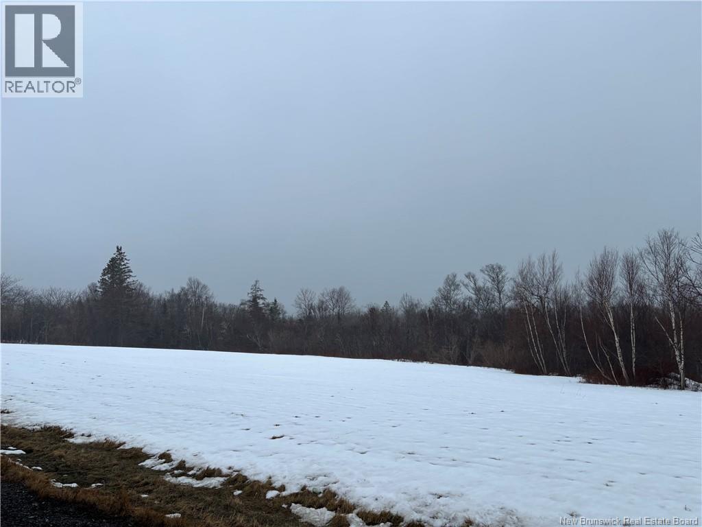 0 Route 127 Property Photo 5