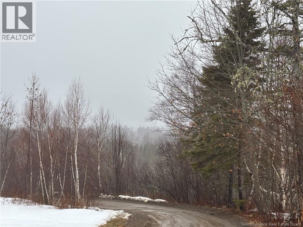 0 Route 127 Property Photo 17