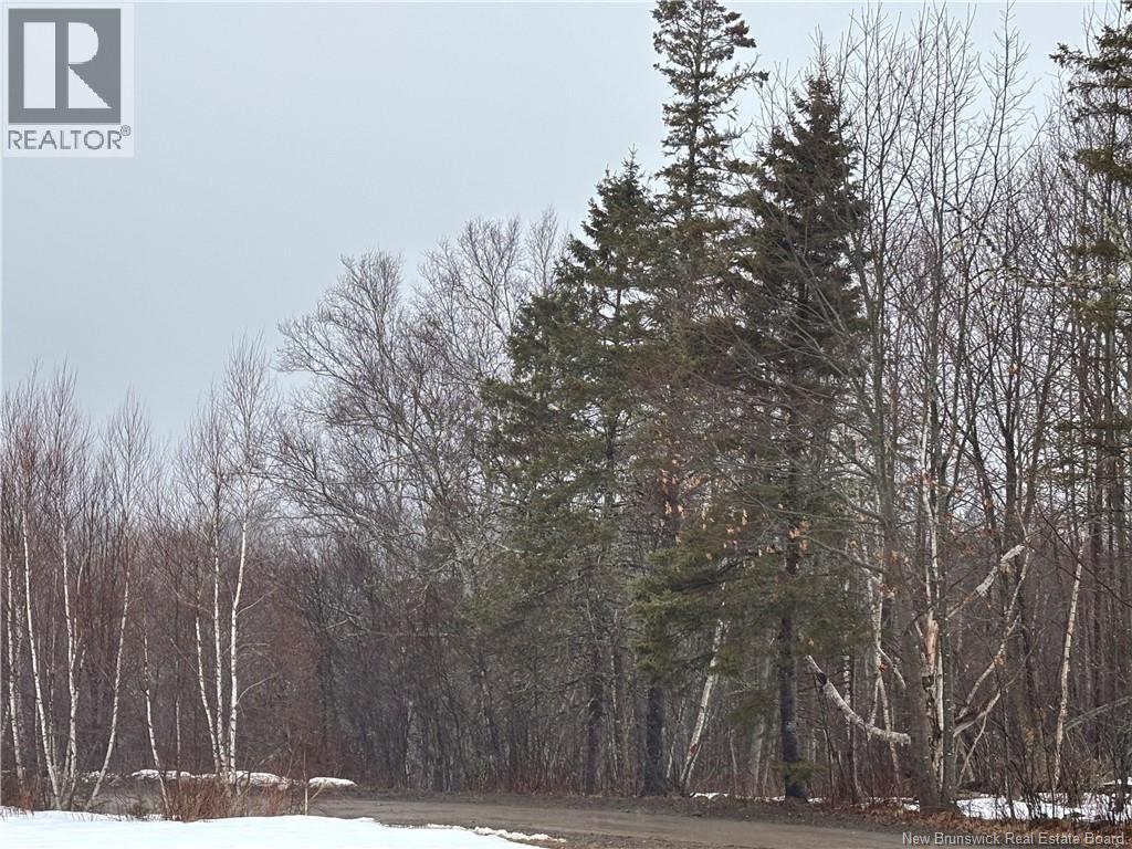 0 Route 127 Property Photo 20