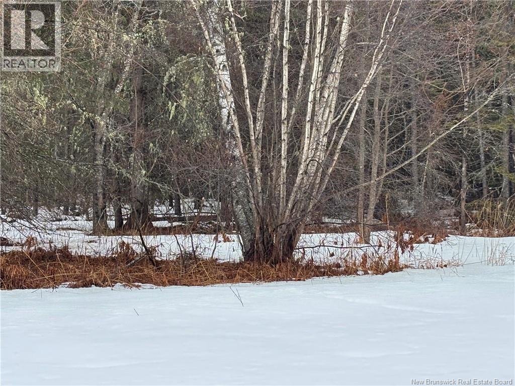 0 Route 127 Property Photo 25