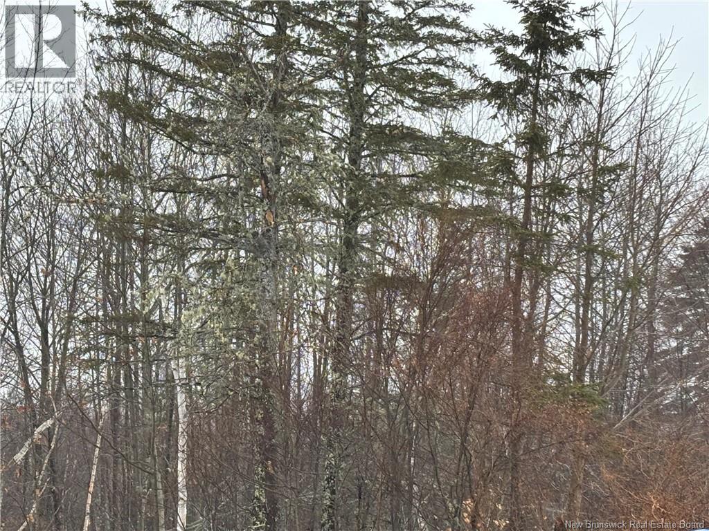 0 Route 127 Property Photo 29