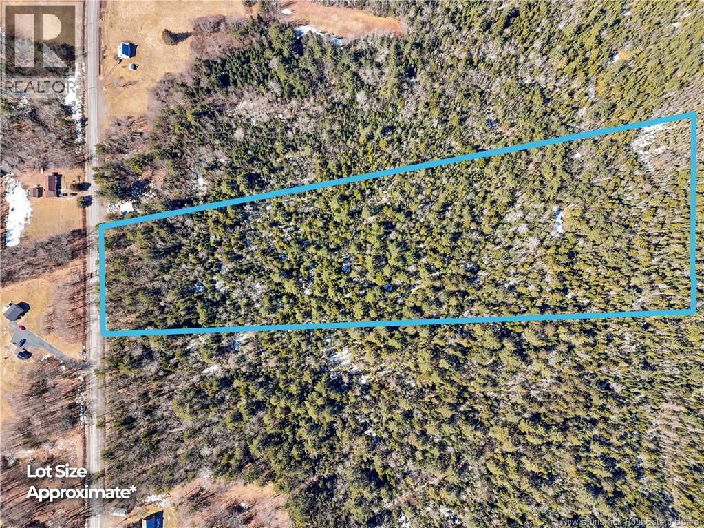 Lot 24-1 Route 102 Property Photo 2