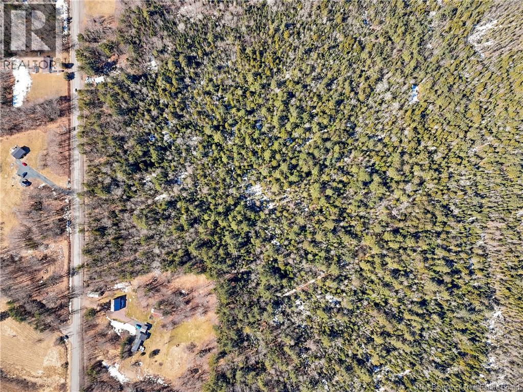 Lot 24-1 Route 102 Property Photo 11