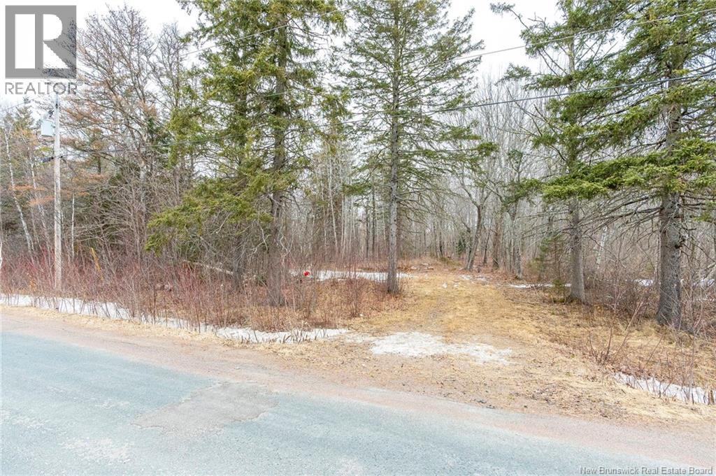 661 Ch Petite Riviere