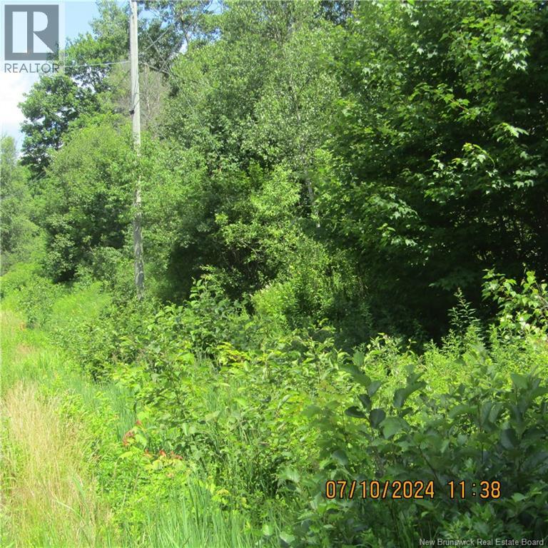 LOT 82-11 Route 770