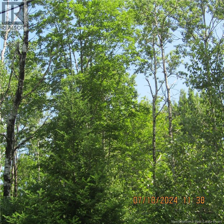Lot 82-11 Route 770 Property Photo 2