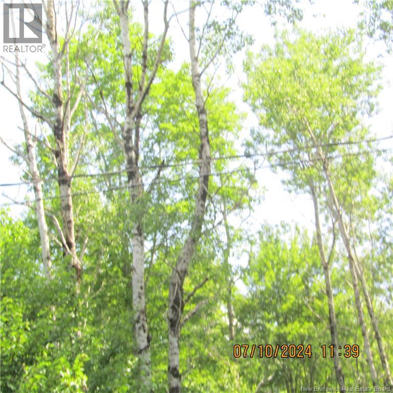 Lot 82-11 Route 770 Property Photo 3