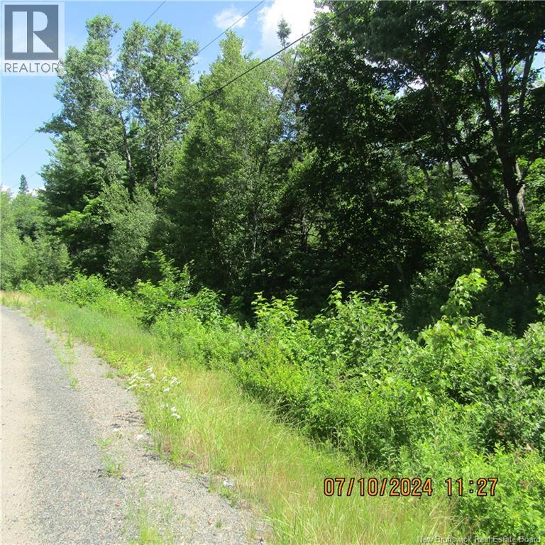 Lot 82-11 Route 770 Property Photo 4