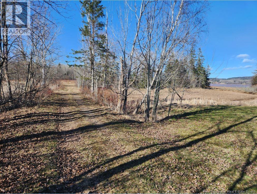 Lot Christopher Road Property Photo 7