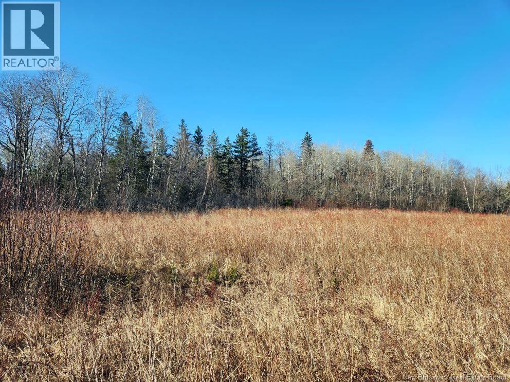 Lot Christopher Road Property Photo 16