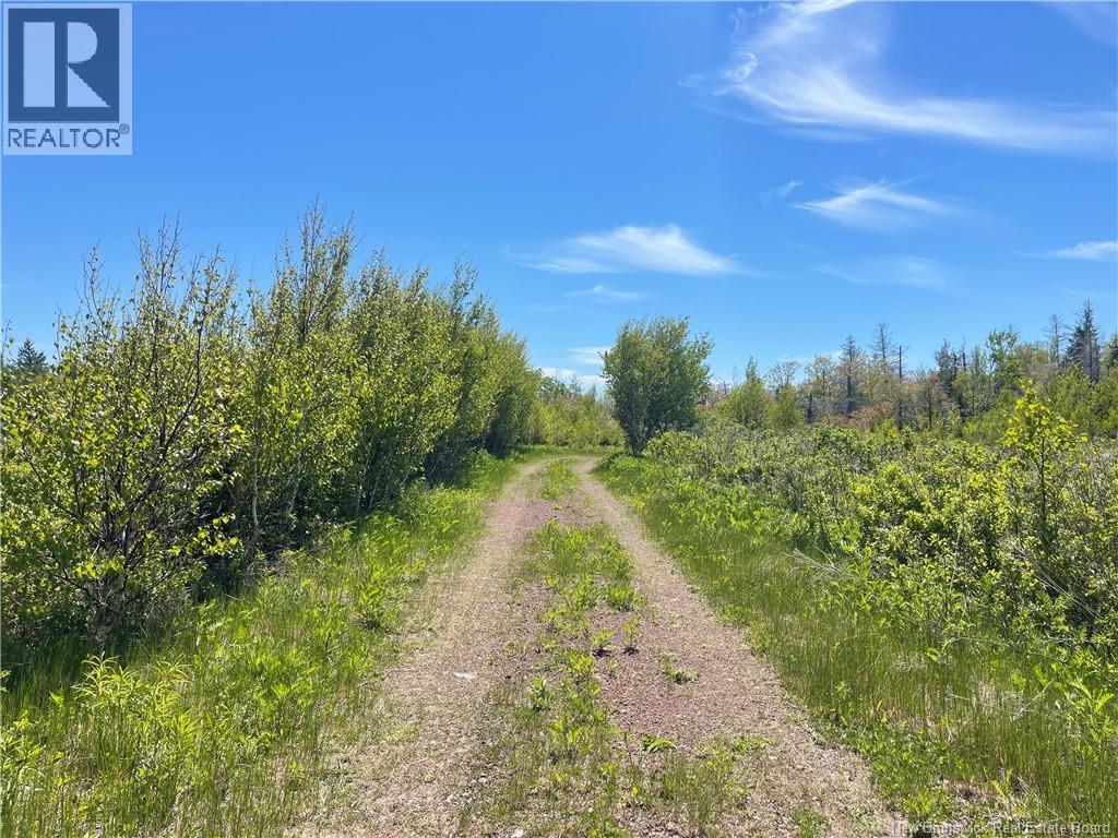 Lot 95-5 P'tit Barachois Road Property Photo 2