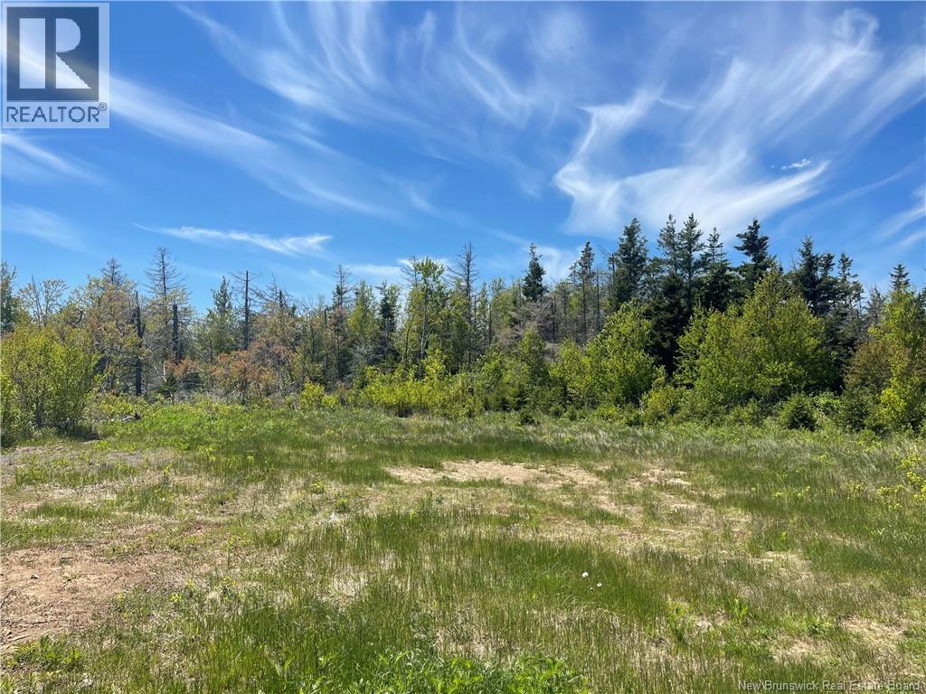 Lot 95-5 P'tit Barachois Road Property Photo 5