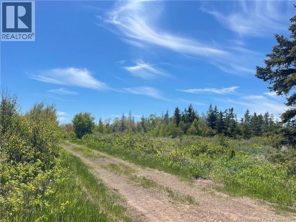 Lot 95-5 P'tit Barachois Road Property Photo 8