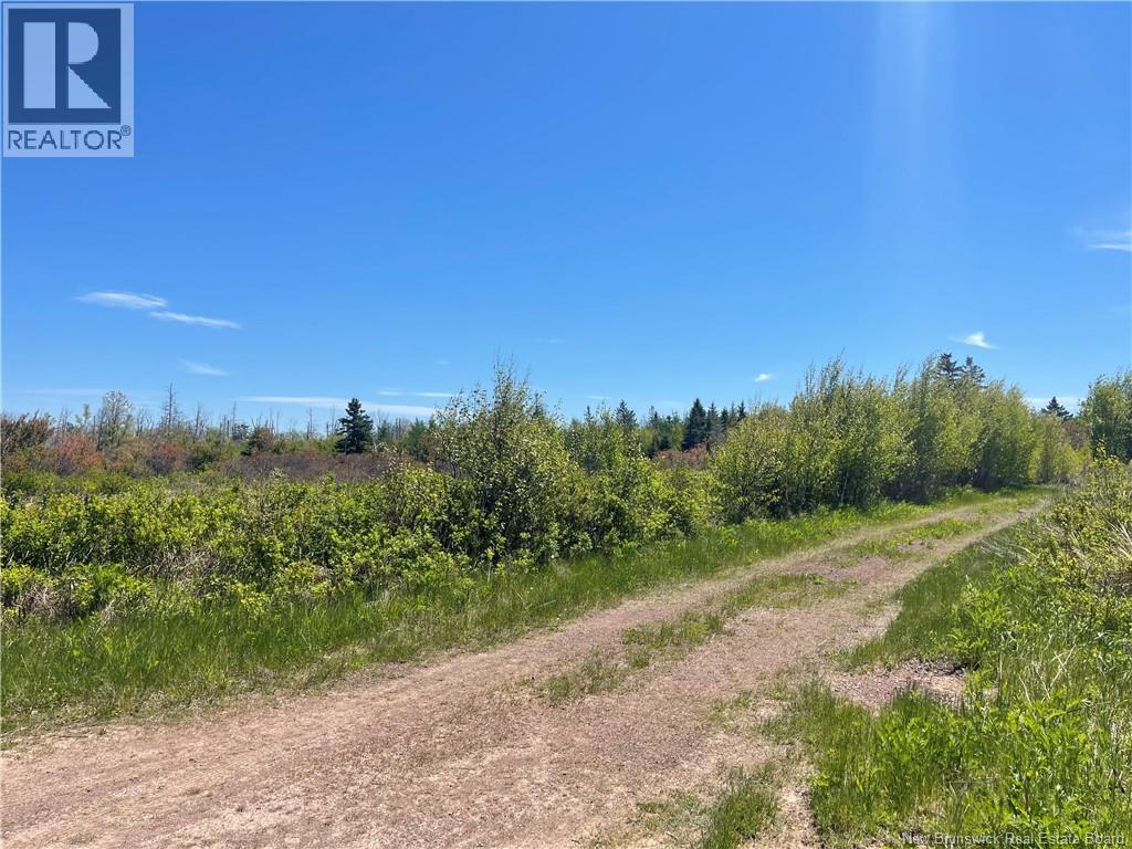 Lot 95-5 P'tit Barachois Road Property Photo 9
