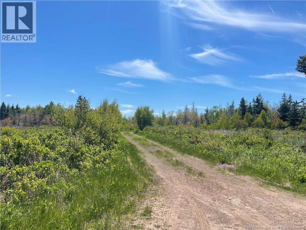 Lot 95-5 P'tit Barachois Road Property Photo 10