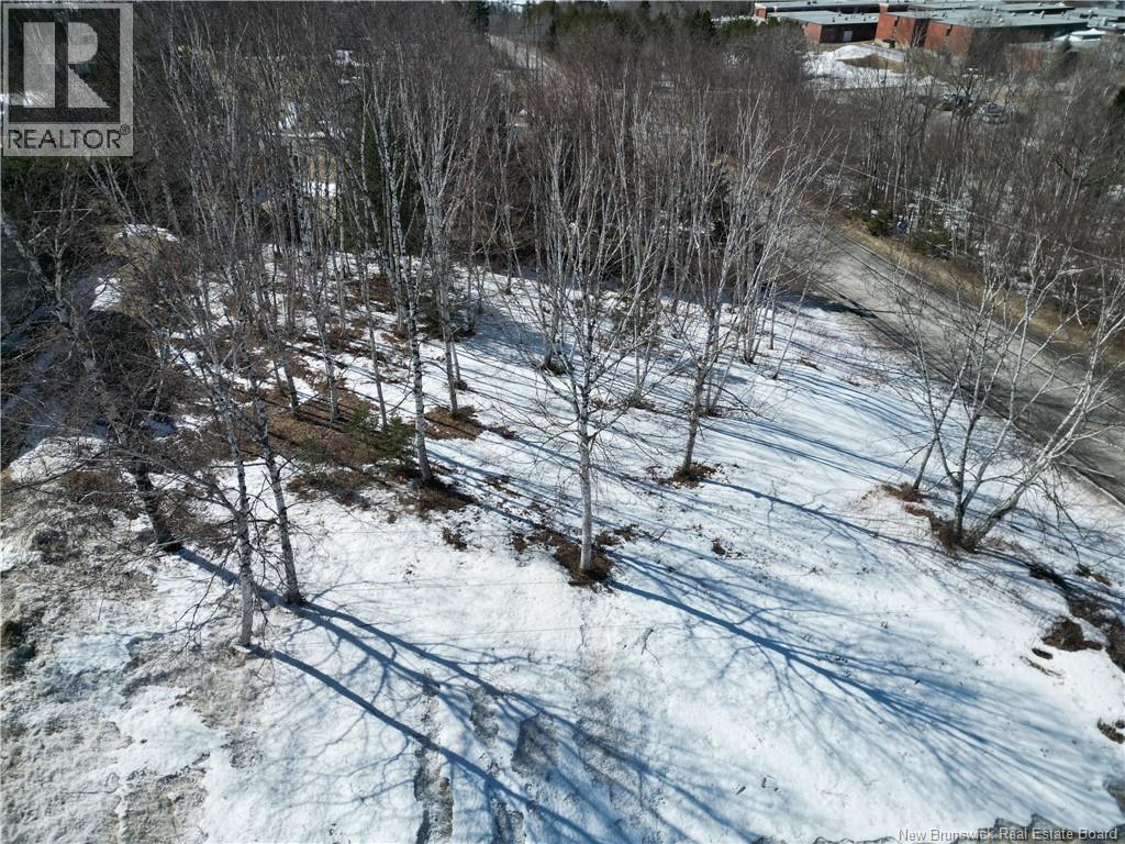 Guimont Street Property Photo 4