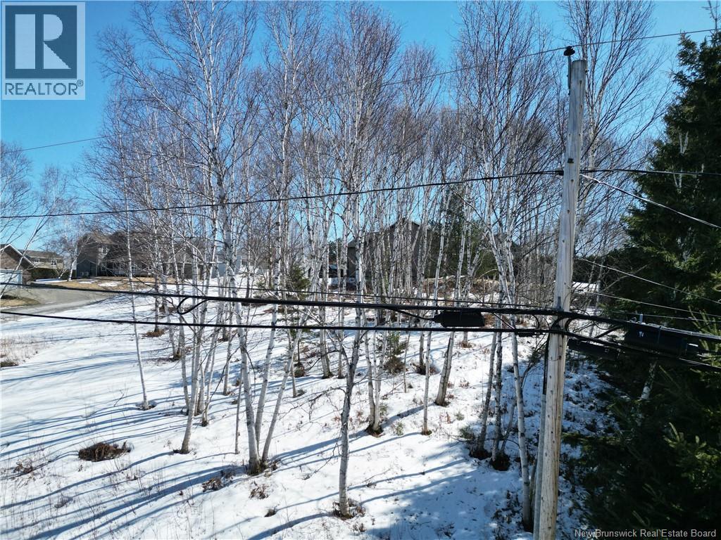 Guimont Street Property Photo 5