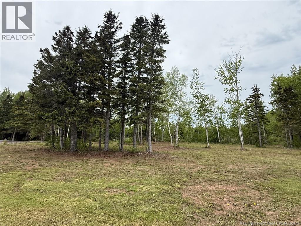3, 425 Mc 12e Rue Property Photo 3