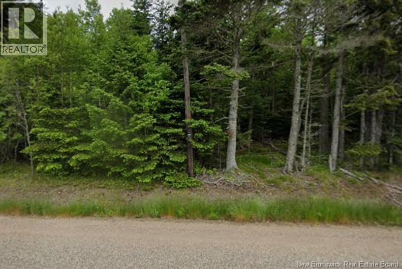 Lot Main Street Property Photo 2